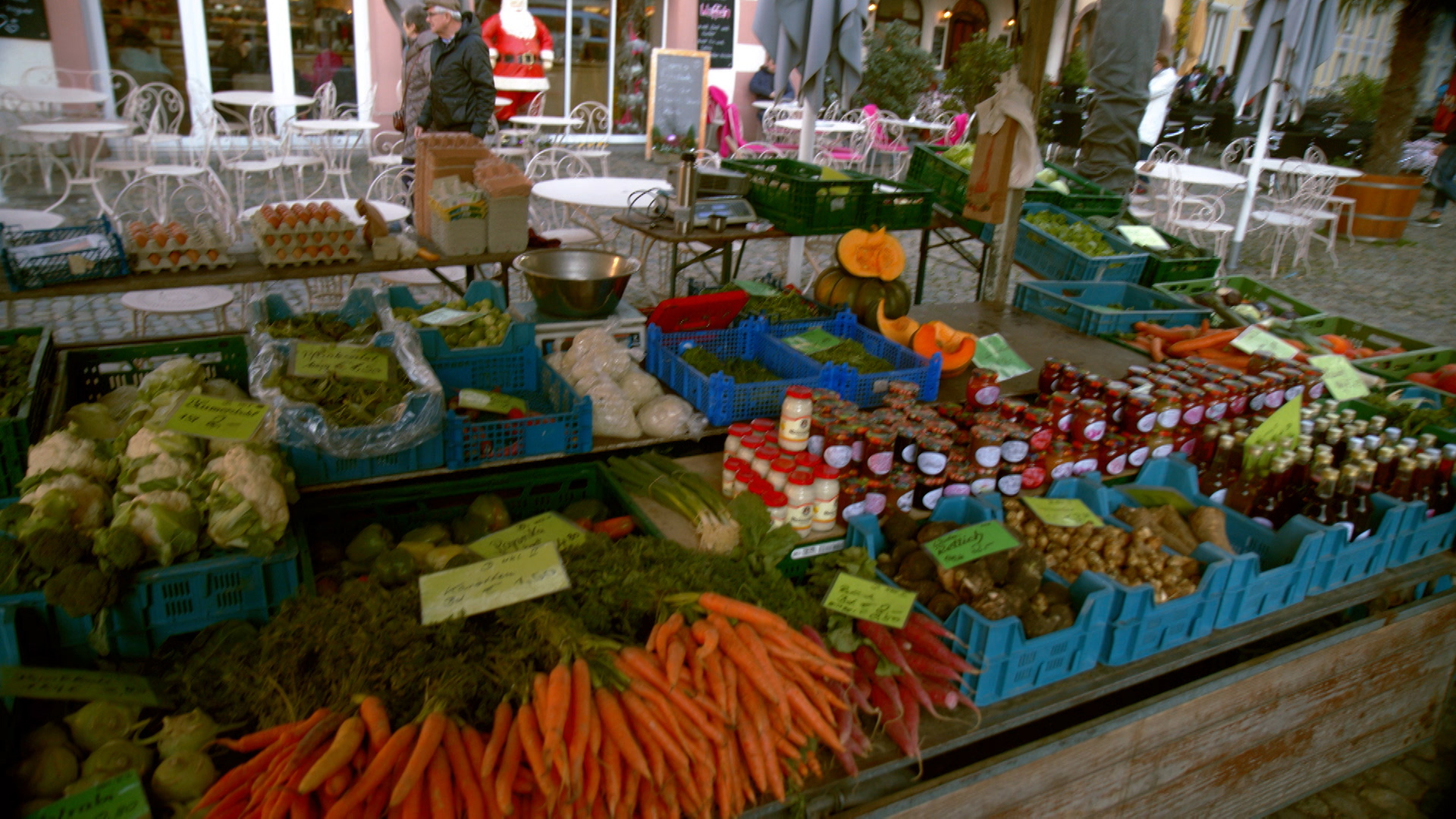 Eco-Eye with Duncan Stuart