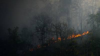 Rain: The Untold Story